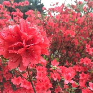 Meet your Posher, Cati